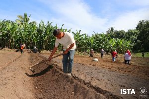 Potencializamos los huertos comunitarios diversificados