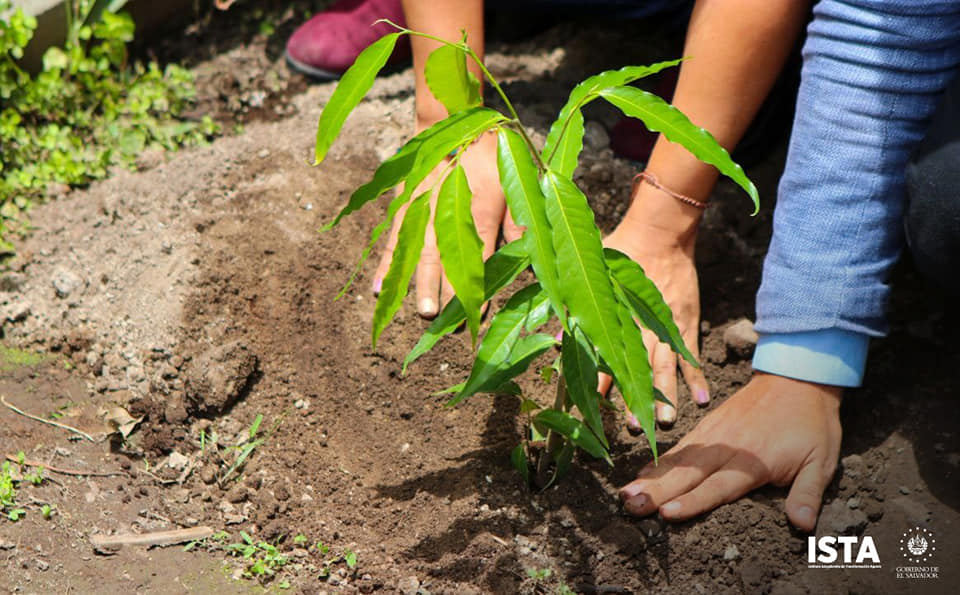 Instituto Salvadoreño de Transformación Agraria